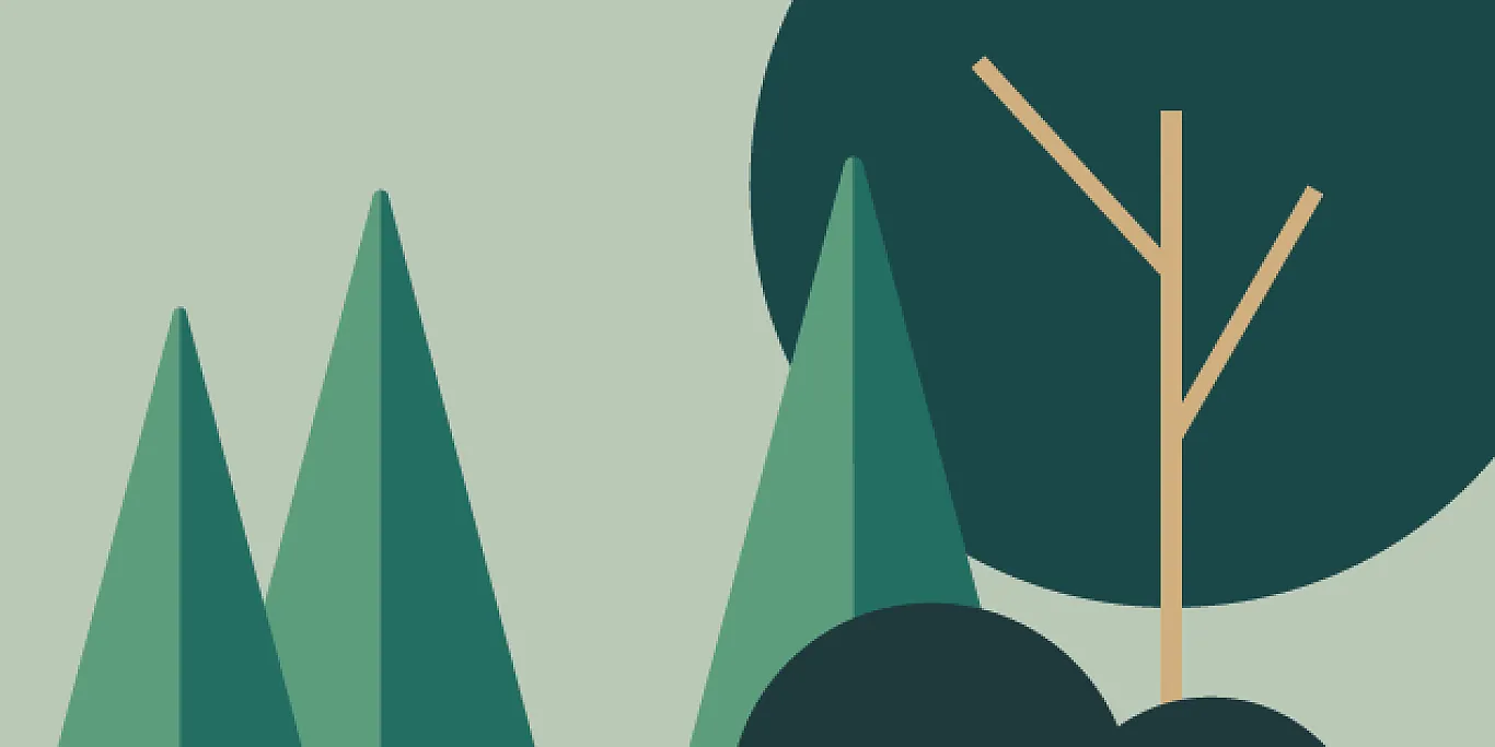 2021 arbres / 2021 Bäume 2021 arbres / 2021 Bäume