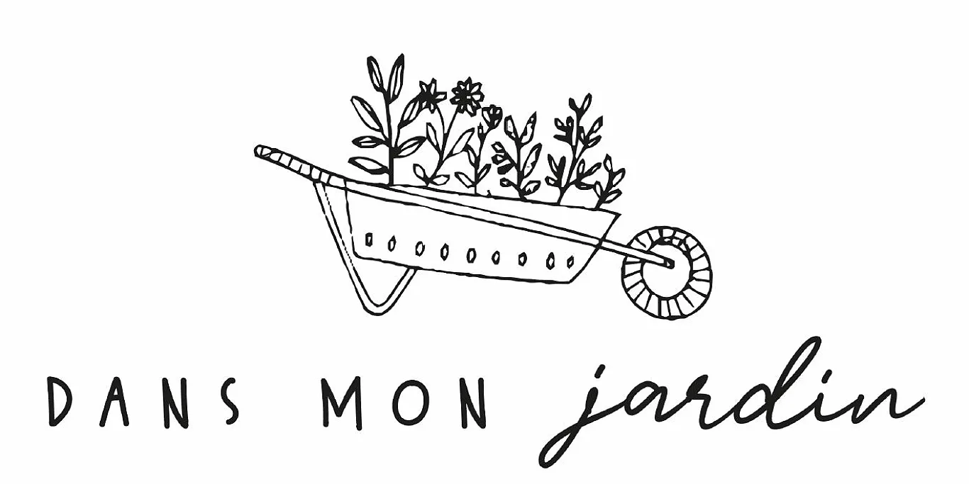 Dans mon jardin Dans mon jardin
